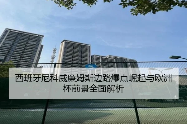 西班牙尼科威廉姆斯边路爆点崛起与欧洲杯前景全面解析